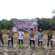 Pemkab Balangan Ikuti Tanam Padi Serentak Dipimpin Presiden Prabowo Subianto