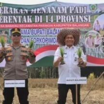 Balangan Ikuti Gerakan Tanam Padi Serentak 14 Provinsi