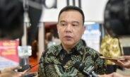 Fenomena Bendera One Piece Jelang HUT RI, Anggota DPR Minta Masyarakat Tidak Terprovokasi