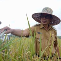 Dukung Ketahanan Pangan, Wabup Balangan Apresiasi Kinerja dan Kontribusi Petani