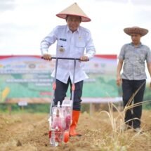 Bupati Balangan dan Kapolres Tanam Jagung Serentak, Dorong Ketahanan Pangan Nasional