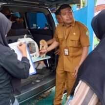 DKP3 Balangan Perkuat Ketahanan Pangan Lewat Layanan Kesehatan Hewan di Pasar Paringin
