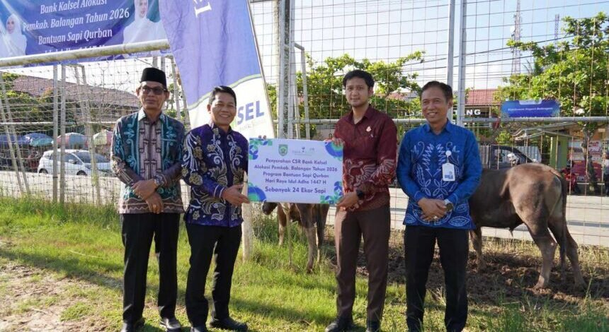 Jelang Iduladha 1447 H, Bupati Abdul Hadi Salurkan Bantuan 24 Ekor Sapi Kurban